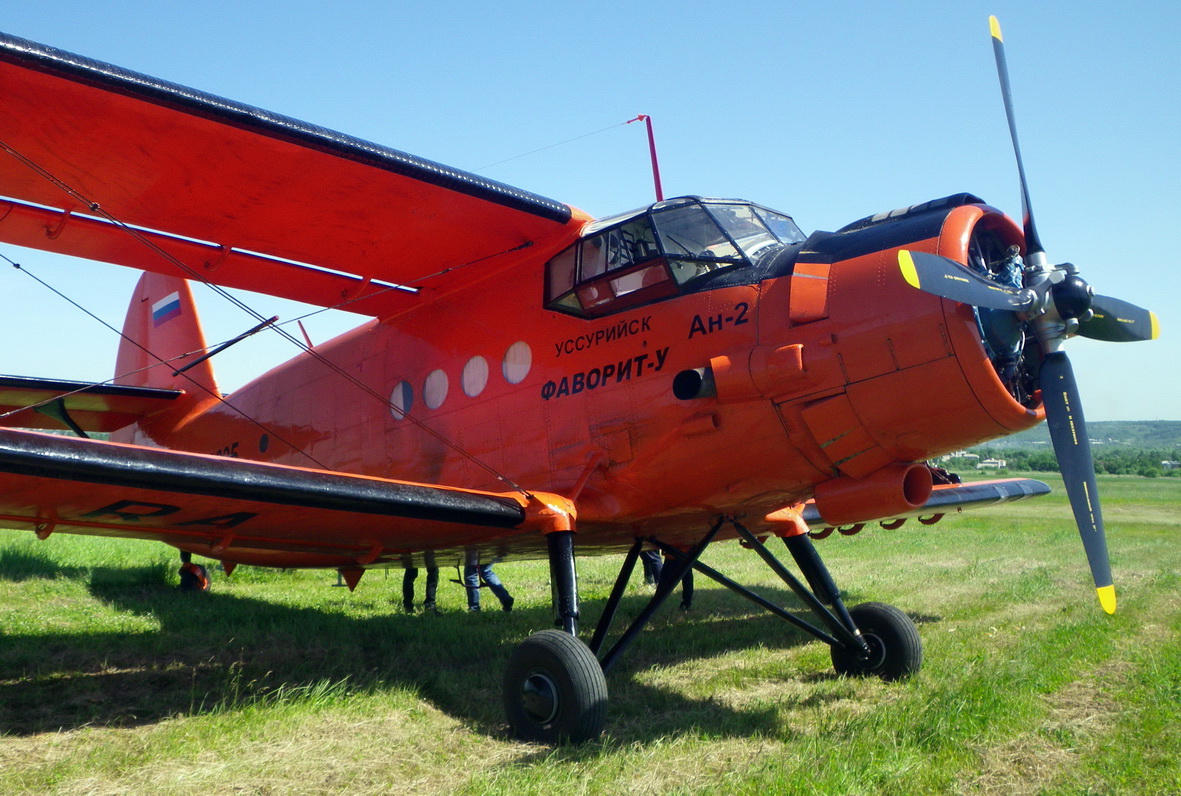 IMGP0002